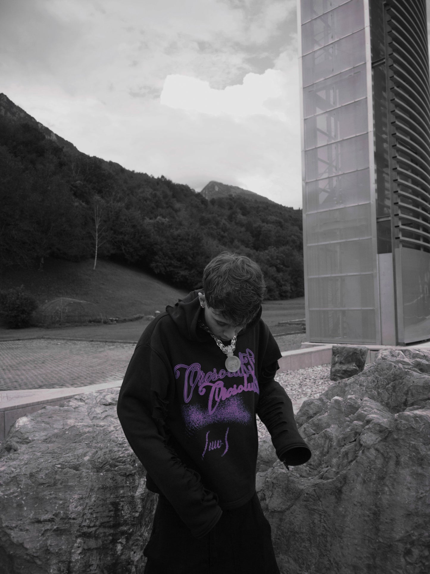 OROSOLUBILI Hoodie (Parleranno i Vestiti)