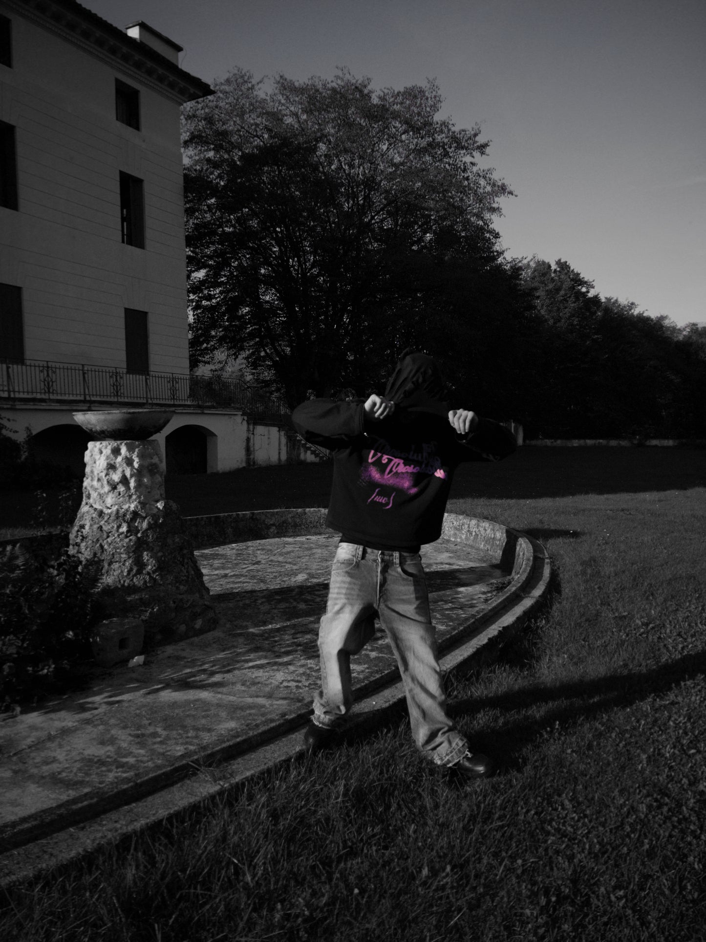 OROSOLUBILI Hoodie (Parleranno i Vestiti)